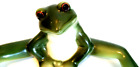 Figurine grenouille à longues pattes en porcelaine Franz Amphibia peinte à la main 3 po x 9 po FZ00078