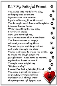 DOG Lover's Gift - RIP my Furry Friend - aimant réfrigérateur flexible taille 16 x 10 cm - Photo 1/1