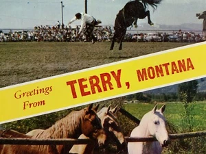 Saludos de Terry Montana Rodeo Vaqueros Caballo Años 50 Postal De Colección Sin Publicar - Imagen 1 de 14