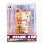 Lucky Cat Golden Freeny Puzzle Assembly Perspective Bone Anatomy Toys Parts