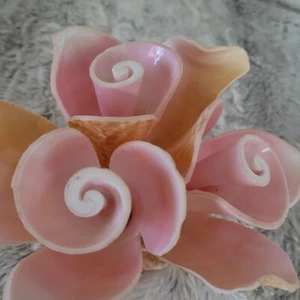 Vtg Soft Pink Carved Flowers Conch Sea Shell Bouquet Beach Cottage Hand Made - Picture 1 of 13