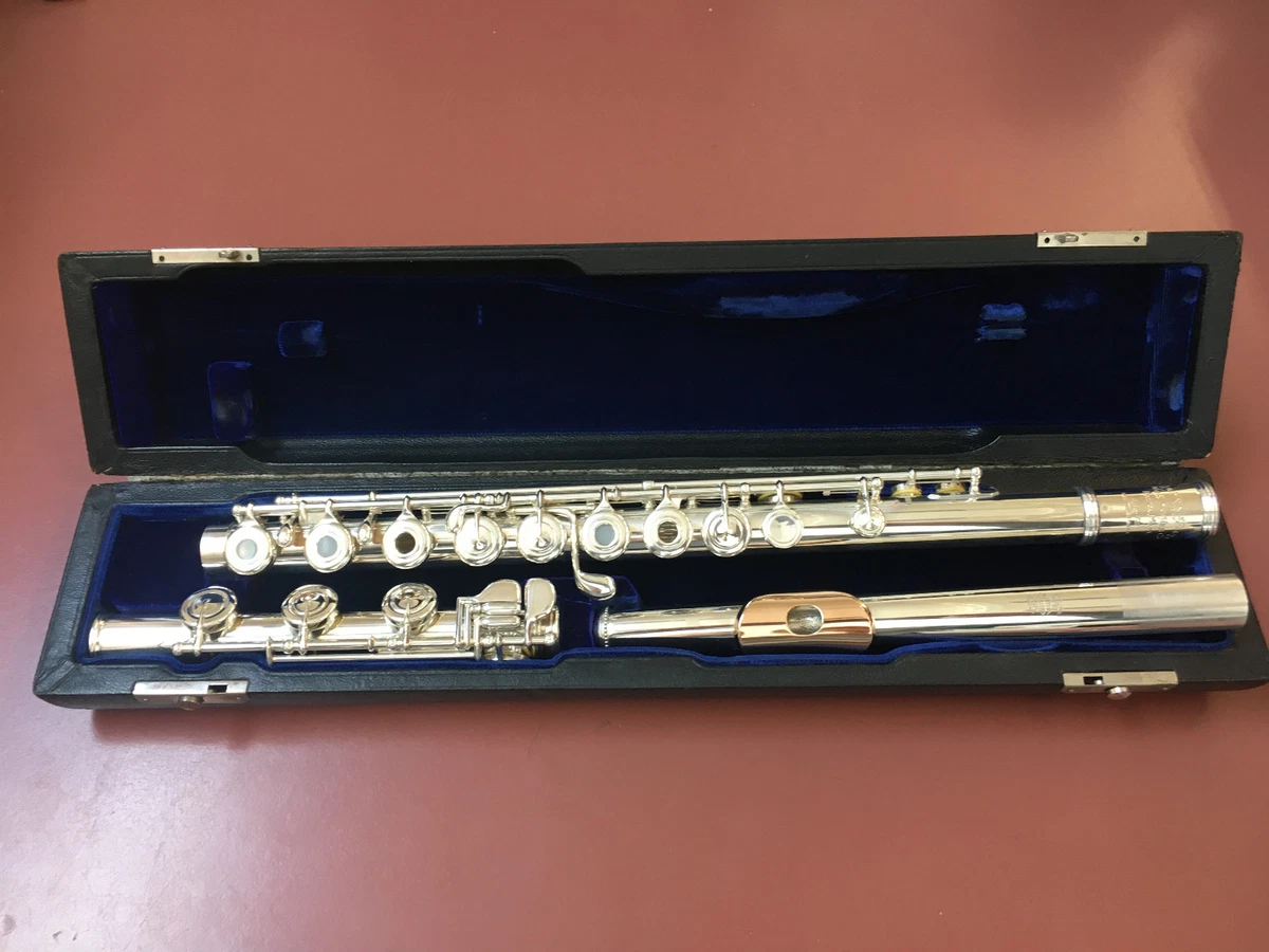 海恩斯长笛| eBay