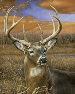Fall Spendor Deer Buck Panel Animal Scenic Digital Cotton David 35.5"X44" Panel - Picture 1 of 1