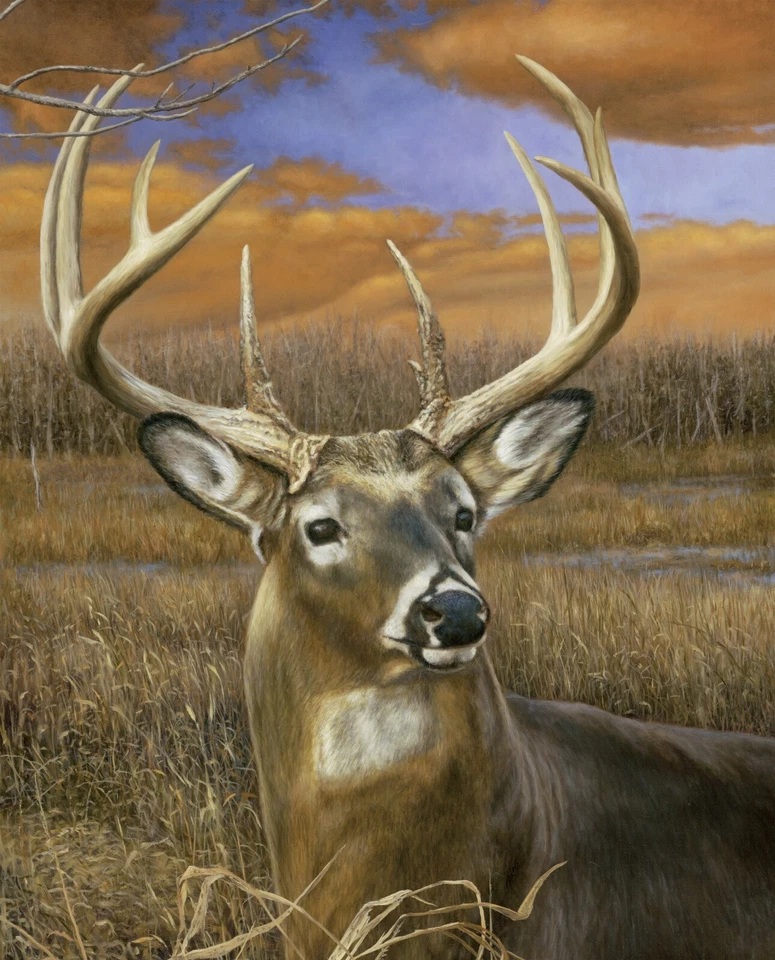 Fall Spendor Deer Buck Panel Animal Scenic Digital Cotton David 35.5"X44" Panel - Image 1 of 1