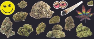 Green Leaf Bud Sticky MJ Weed Marijuana Cannabis 420 Fun 15 Vinyl Stickers A - Bild 1 von 4