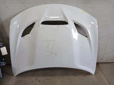 Hood With Hood Single Center Scoop Fits 15-20 CHARGER 3094829 - Image 1 of 4