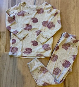 Old Navy Hedgehog Sleep Set PJs Pajamas 2T - Picture 1 of 3