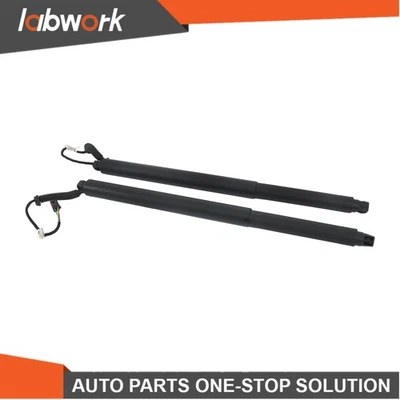 Barra de soporte de puerta trasera eléctrica Labwork para Nissan Murano 2015-2020 izquierda derecha Foto 1 de 4