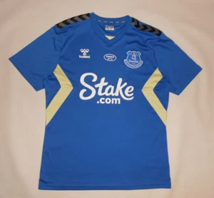 TRAINING SHIRT HUMMEL EVERTON 2023-24 (L) Jersey Trikot Maillot Maglia Camiseta - Picture 1 of 6