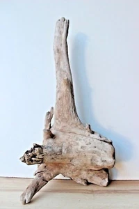 Treibholz Schwemmholz 1 XXL Wurzel Weihnachten Basteln Geschenk - Bild 1 von 6