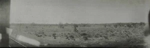 Antique Photo Passenger Train, Indian Standing Desert Panoramic Photo Negative - Picture 1 of 3