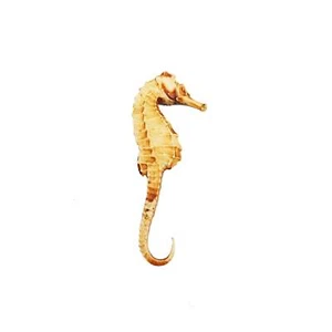 Seahorse Replica for dioramas, terrariums, or display. Choose size. (1 seahorse) - Picture 1 of 4
