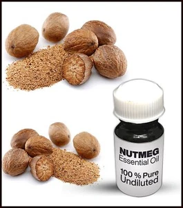 Nutmeg Essential Oil 100% Pure Undiluted (10ML-500ML) - Picture 1 of 1