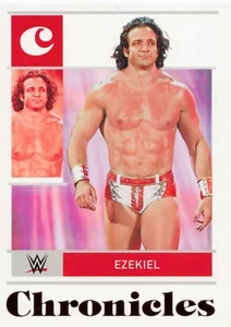 Elias Ezekiel - Lot of 24 Topps Panini WWE Trading Cards - Picture 1 of 24