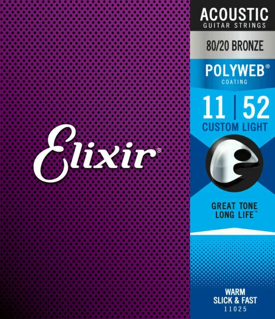 Elixir 11025 Polyweb Coating Acoustic Guitar Strings - 2 Pack