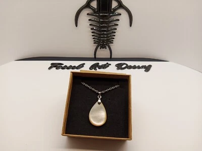 Fossil Schell Madreperla Pendente art.1psm - Immagine 1 di 4