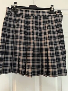 BOOHOO skirt, size 10, checks, pleats, BNWOT - Picture 1 of 5