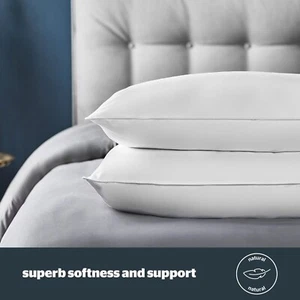 Duck Feather & Down Pillows 2 Pack-Medium Support Back and Side Sleeper Pillows - Picture 1 of 6