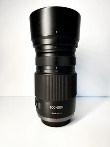 Panasonic Lumix 100-300mm Objektiv - Bild 1 von 4
