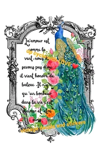Transferencia de muebles. PEGATINA FROTAR EN TOBOGÁN ACUÁTICO ESCRITURA FRANCESA VERDE AMOR PAVO REAL ❤ - Imagen 1 de 13
