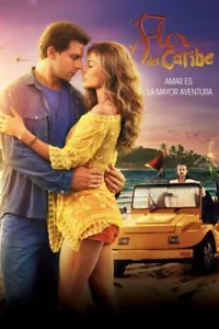 SERIE BRASIL, FLOR DEL CARIBE, 30 DVD , 120 CAPITULOS, 2013, EXELLENTE - Picture 1 of 2