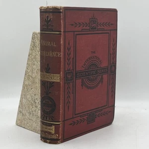 Animal Intelligence – George J. Romanes (1st ed. 1882)  Int. Scientic Series - Bild 1 von 5
