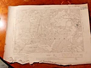 Original 1919 OS Sheet Egham Callowhill Englefield Green Virginia Water Windsor - Picture 1 of 1