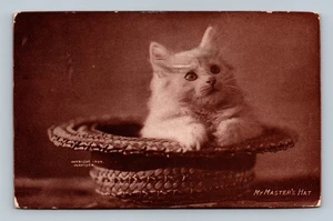 Vintage 1908 Sepia Kitten in Woven Hat Postcard My Master's Hat - Picture 1 of 2