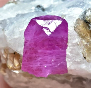 416 Karat Top Qualität Top Glanz Rubinkristall mit Phlogopit Glimmer auf Matrix - Bild 1 von 12