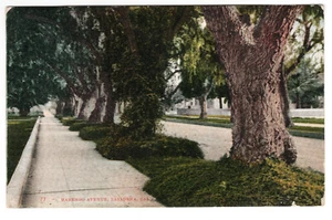 Cartolina d'epoca - Marengo Avenue, Pasadena, CA - #77 - Pub di Edward H. Mitchell - Foto 1 di 2