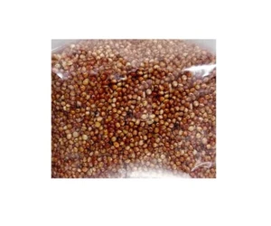 Bolsas de grano Milo esterilizadas de 1 lb, peso neto de 14 oz - Imagen 1 de 1