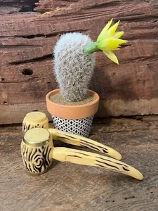 Vintage Corn Cob Pipe Salt & Pepper Shakers, Plastic Salt & Pepper Shakers - Picture 1 of 6