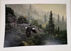 Oktoberflug von Stephen Lyman Lithographie S/N Limited Edition 505/950 Eagle - Bild 1 von 18