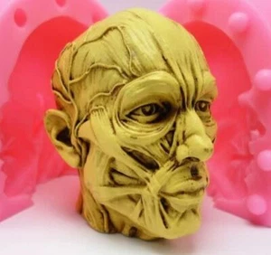 Stampo teschio anatomico teschi umani stampo silicone cioccolato gesso candela sapone fai da te - Foto 1 di 8