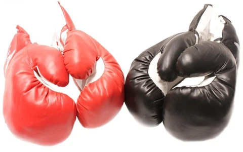2 Pair(1Rd&1Blk) 4oz Youth Boxing Gloves-Punching Glove [Misc.] Cover