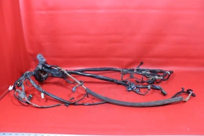 Harley-Davidson Softail 2003 aniversario estándar EFI FXSTI arnés de cable principal Foto 1 de 4