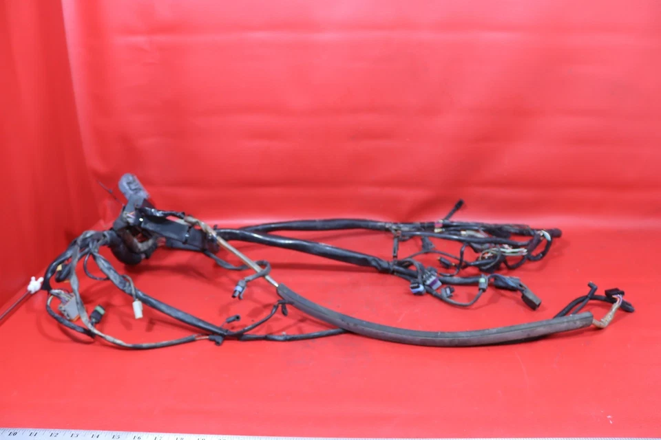 Harley-Davidson Softail 2003 aniversario estándar EFI FXSTI arnés de cable principal Foto 1 de 4