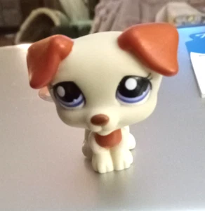 Littlest Pet Shop LPS #1743 rot braun Jack Russell Hund blau lila Augen - Bild 1 von 1