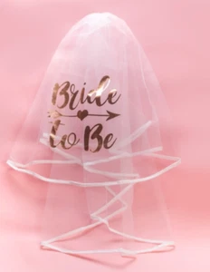 Rose Gold Bride To Be Veil with Arrow Motif Hen's Party - Picture 1 of 1
