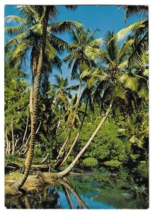 SEYCHELLEN - LAGUNE, LA DIGUE 1987 Foto Eden Postkarte - Bild 1 von 1