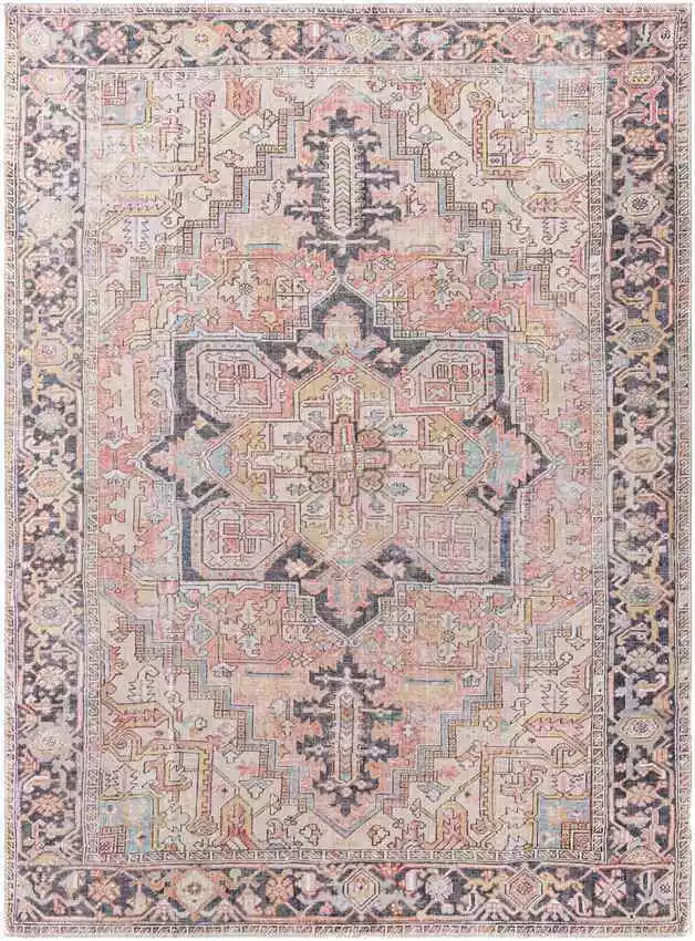 Area Rugs Tamea Traditional Rust/Pale Pink Area Rug - Image 1 of 1