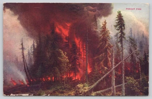 Postal Incendio Forestal Incendio Forestal Humo Ondulante Desastres Naturales - Imagen 1 de 3