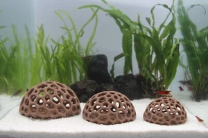 Shrimp Dome Shelter Aquarium Decoration - Picture 1 of 9
