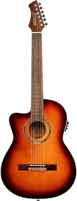 Guitarras Ortega Serie 6 Cuerdas Performer para Zurdos Parte Superior Sólida Cuello Delgado Acou... Foto 1 de 4