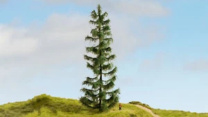 20192 Still Master Baum abeto 25 cm de altura, gigante de los bosques, hobby, accesorios  - Imagen 1 de 2