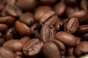Costa Rica SHB Caffè Speciale in Grani Interi, 2 Bustine Fresco Tostato Giornaliero - Foto 1 di 1