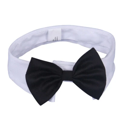 1 pieza pajarita blanca para perro mascota pajarita ajustable collar para mascotas corbata para cuello mascota mascota Foto 1 de 4