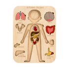 Human Organs Puzzle Engaging Learning Tool Kid Girls Boys Present Supply