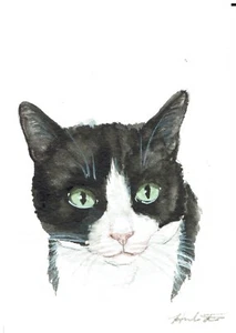 ACEO Original Aquarell Gemälde 2,5"x3,5" schwarz-weiß Katze Haustier Porträt - Bild 1 von 2