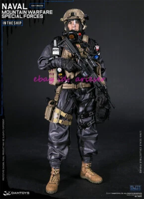 Figura de acción Damtoys 78051 1/6 guerra naval de montaña fuerzas especiales en stock Foto 1 de 4